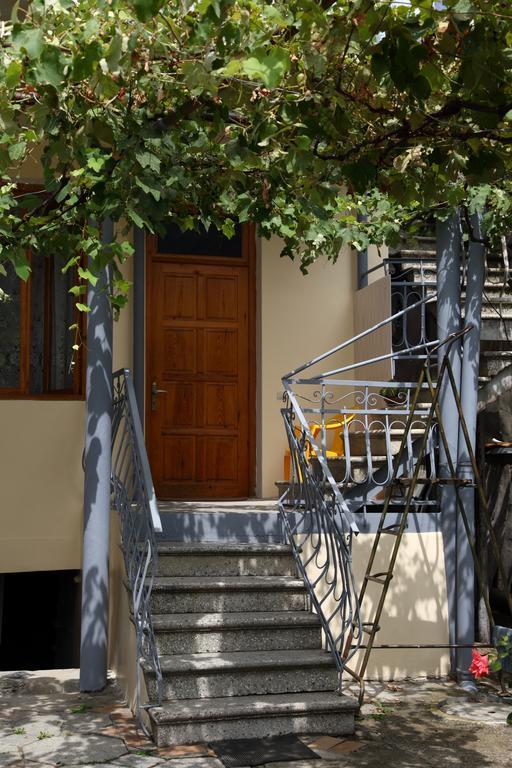 Grimis Villa Borjomi Εξωτερικό φωτογραφία